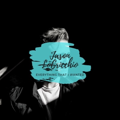 Everything That I Wanted - Single