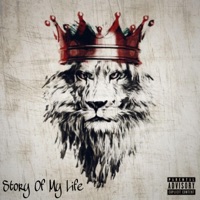 Story of My Life (feat. Hood Princess) - Single - Xsqizt