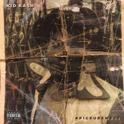 PicSureMe22 - Single