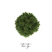 Tree Top (feat. RememberBuddha) - Single - TBNJAPAN