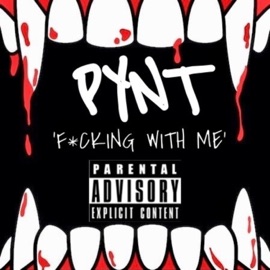 F*cking with Me Pynt