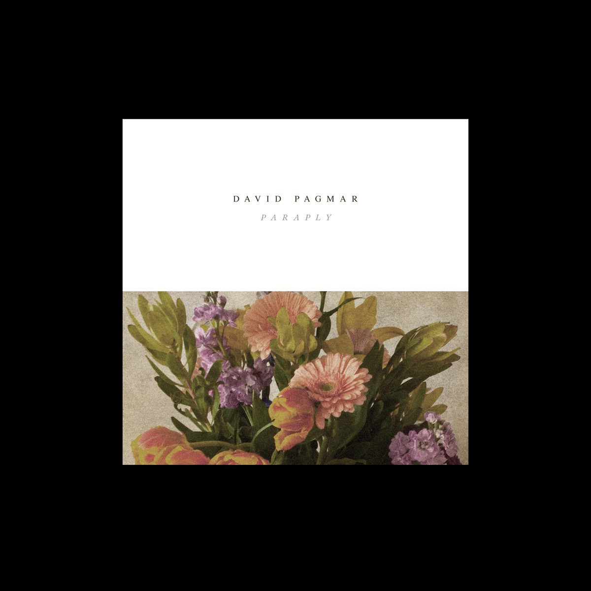 Paraply - Single - Album by David Pagmar - Apple Music