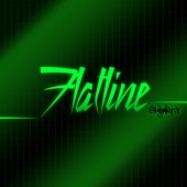 ____Flatline____ artwork