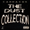 The Dust Collection - EP