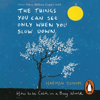 The Things You Can See Only When You Slow Down - Haemin Sunim