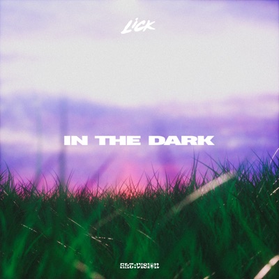 IN THE DARK - Single
