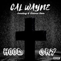 Hood Cry (feat. Junebug & Stunna Bam) - Single - Cal Wayne