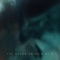 Killifish - Zackery Alfheim lyrics