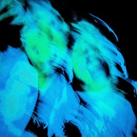 Beeka (feat. Sepha.) - Single - PEZZHEAD