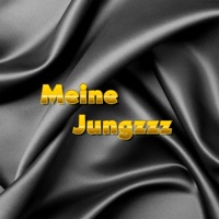 Meine Jungzzz (feat. Henk) - Single - Bendix