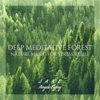 Deep Meditative Forest: Nature Music for Stress Relief, Nature ASMR, Sleep in the Forest, Rolling Waves, Wake Up with Birds Singing - Jane - Angela Flying