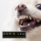 Dog's Law - Salem Witch Doctors lyrics