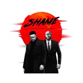 Shame (A Kobayashi Maru Situation) [feat. Ayoola] artwork