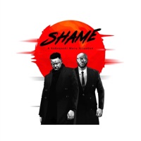 Shame (A Kobayashi Maru Situation) [feat. Ayoola] - Single - Snatcha