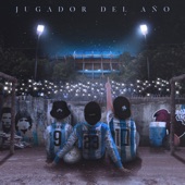 Jugador del Año artwork