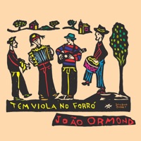 Tem Viola no Forró - João Ormond