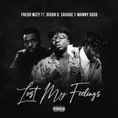 Lost My Feelings (feat. Bison D Savage & Manny Soso) artwork