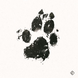 Big Bad Wolf Cardiac Half