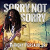 Sorry Not Sorry (Instrumental) - Single