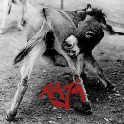 Xaja - Born to Be Alive