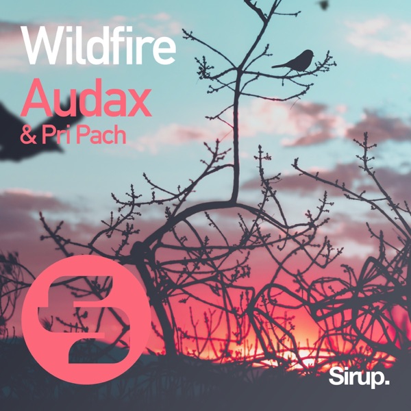 Wildfire - Single