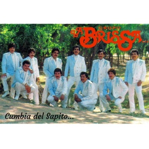 La Cumbia Del Sapito