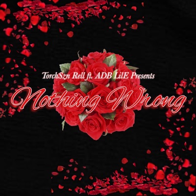 Nothing Wrong (feat. ADB Lil E) - Single