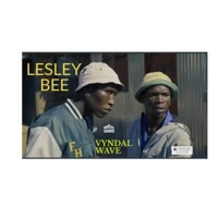 Vyndal Wave - Single - Lesley Bee