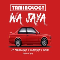 Wa Jaya (feat. TowdeeMac, Thusi & BlackTaj) - Single - Taminology