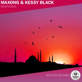 Bosphorus Maxong & Kessy Black