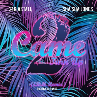 Came 2 to Up (feat. Sha Sha Jones) [EDM Remix] [Remix] - Single