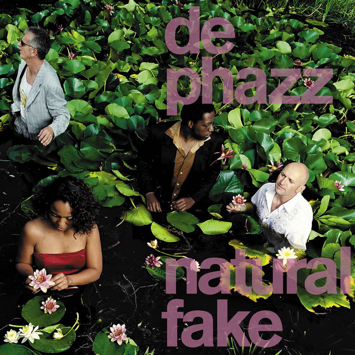 Natural Fake - шестой студийный альбом немецкого проекта De-Phazz. 2005