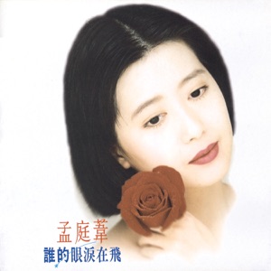 Mai Meng (孟庭葦) - A Shy Rose Is Silently Blooming (羞答答的玫瑰靜悄悄地開) - 排舞 編舞者