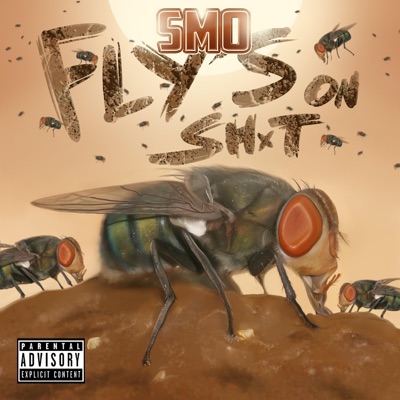 Fly's on Shxt
