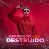 Derribado Más No Destruido artwork