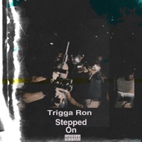 Stepped on (feat. Young Cook, Young Jay, Vee Gotti & Maud 4) - Single - Trigga Ron