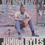 Junior Byles - Fever