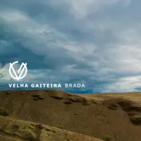 Brada — Velha Gaiteira