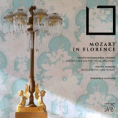 Mozart in Florence (The Expectations of the Mozarts at the Court of the Grand Duke of Tuscany) artwork