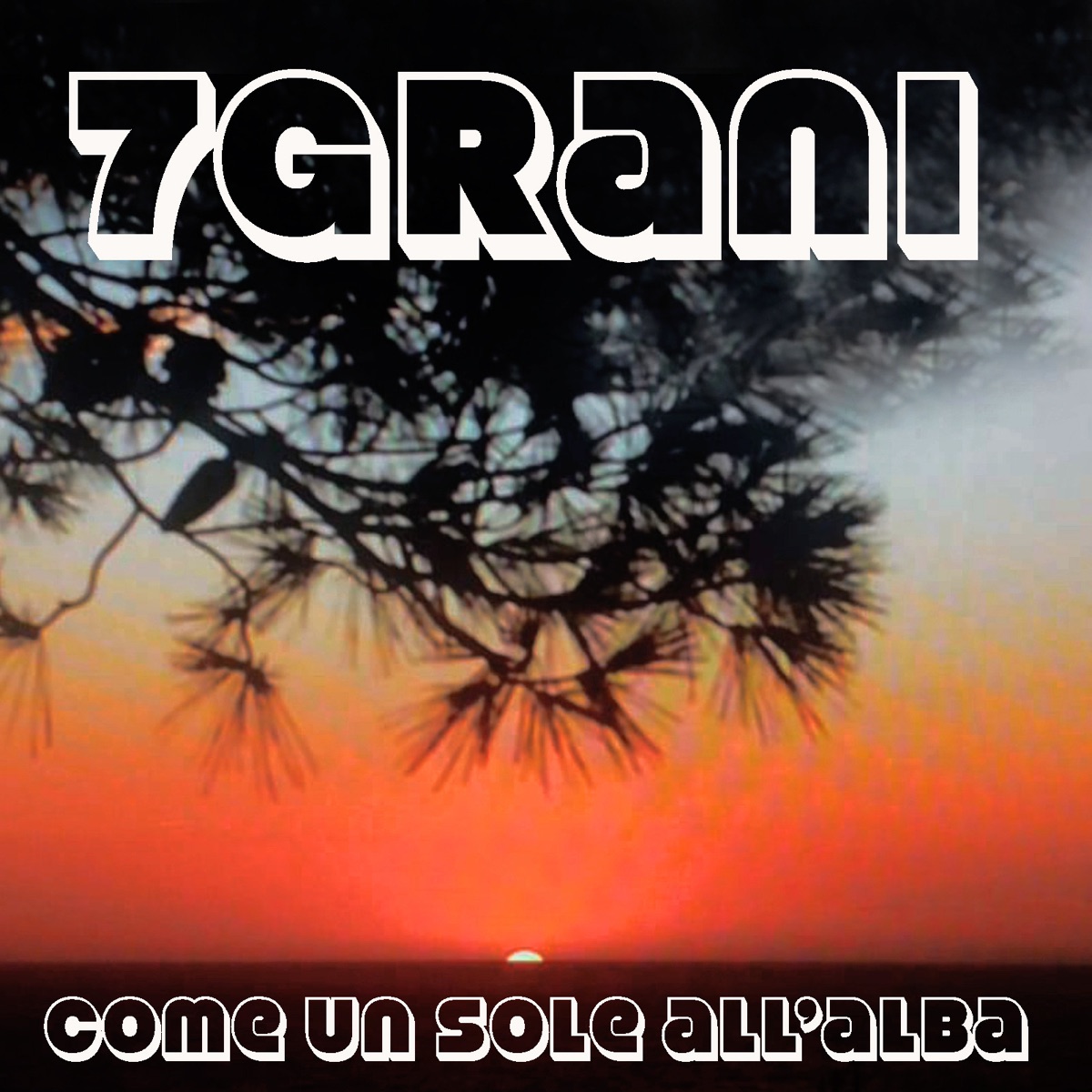 come un sole all'alba - Single (feat. Raffaele Kohler) - Single - Album by  7grani - Apple Music