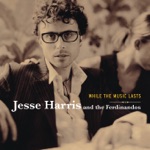 Jesse Harris & The Ferdinandos - While The Music Lasts