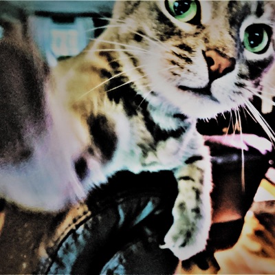 CanYouImagine - Single