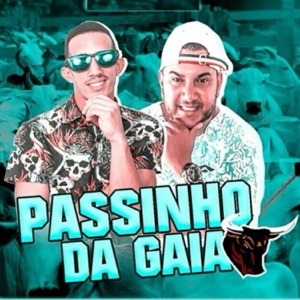 Passinho da Gaia (feat. Thiago Pesadão)