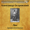 Александр Островский -  Лес (радиоспектакль) - Аудиокнига в кармане & Василий Меркурьев