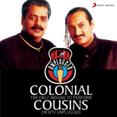MTV Unplugged - Colonial Cousins - Leslee Lewis