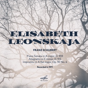 Schubert: Sonata No. 20, Allegretto in C Minor, Impromtu in A-Flat Major