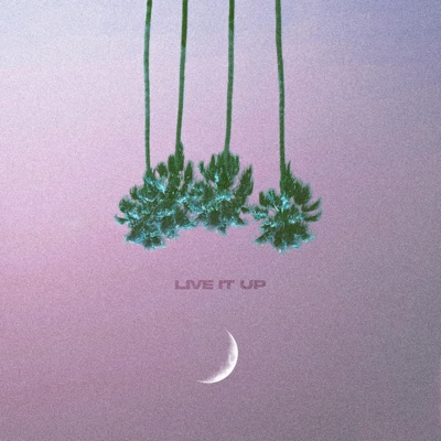 Live It Up (Live) - Single