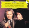 Augustin Dumay Sonata for Violin and Piano No. 1 in G, Op. 78: I. Vivace ma non troppo Brahms: The Sonatas for Violin and Piano