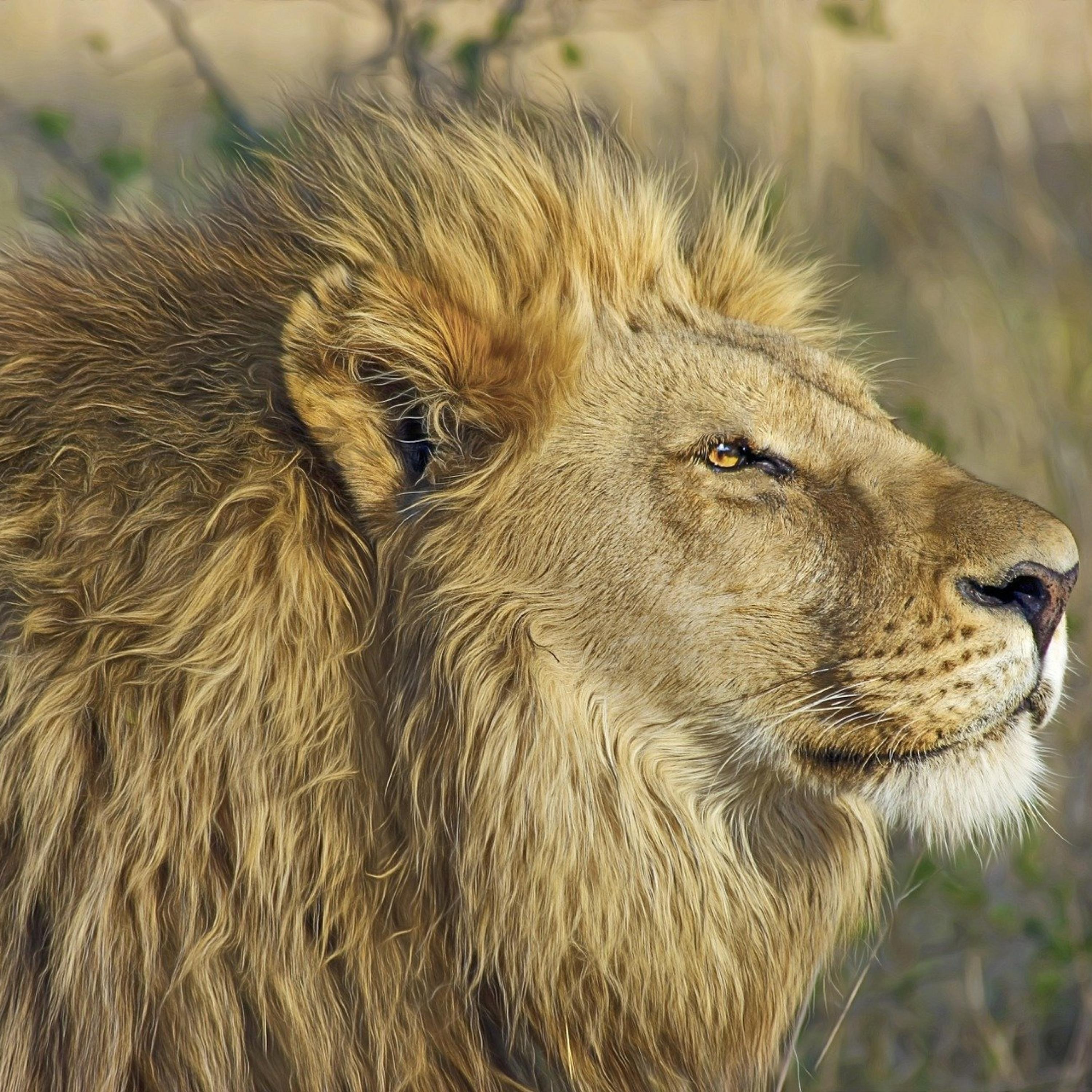 Chill House Part 1, Vol. 23