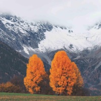 Dark Chocolate - Single - Shudipon